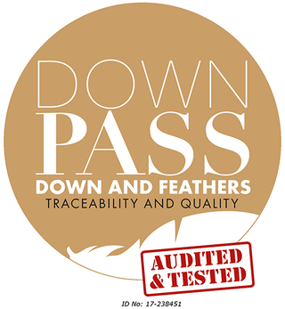 Logo Downpass
