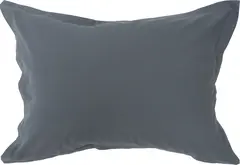 Saxon putevar Gustav Ovland