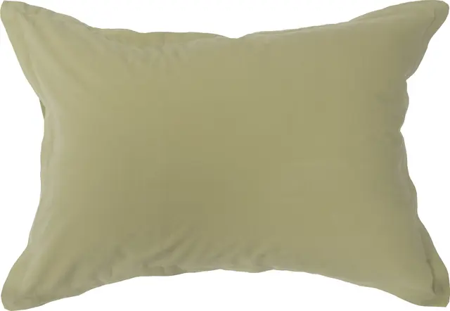 Gustav Ovland Saxon putevar 50x60 Grønn / Salvie 