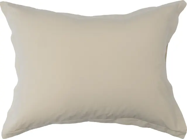 Gustav Ovland Saxon putevar 50x60 Beige / Vass 