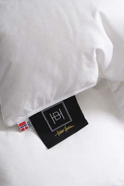 Halvor Bakke 100 % Andedundyne Sval 140x200 280g 