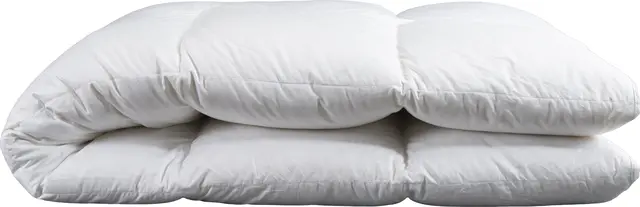 Halvor Bakke 100 % Andedundyne Ekstra varm 200x220 1428g 