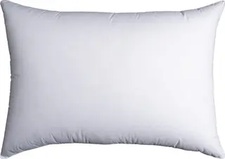 Halvor Bakke 100 % Andedunpute H&#248;y 50x70 500g