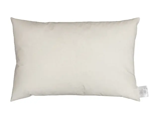 Norsk Dun innleggspute 30x50 100 % europeisk andefjær 