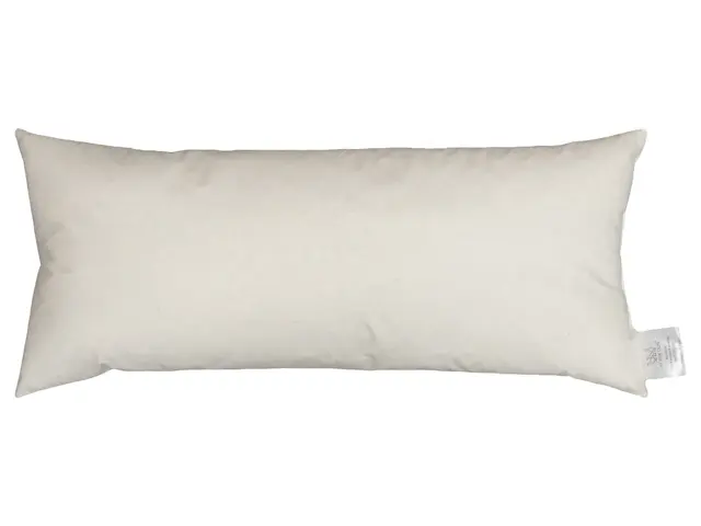 Norsk Dun innleggspute 45x80 100 % europeisk andefjær 