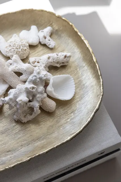 Lama Ines brett 38,5x24,5 Matt gull 