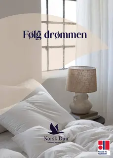 Plakat NO 50x70 F&#248;lg dr&#248;mmen med vinge