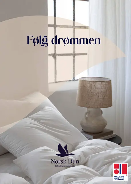 Plakat NO 50x70 Følg drømmen med vinge 