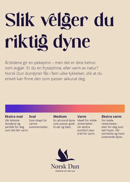 Plakat NO 50x70 Dynevelger 