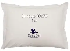 Norsk Dun putevar hvit med trykk 50x70 Lav